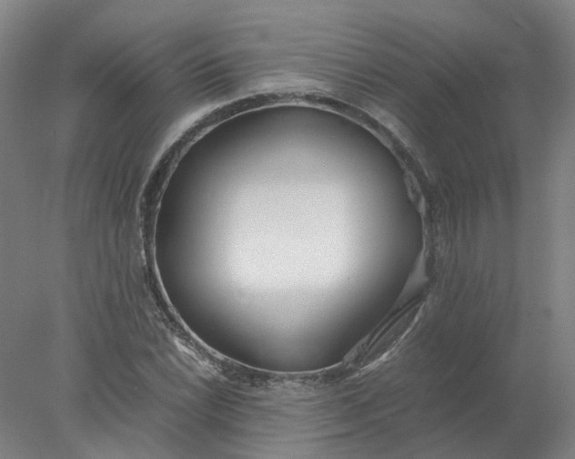 X0000077991022200611101723