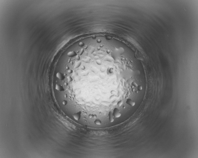 X0000077991023200611101723