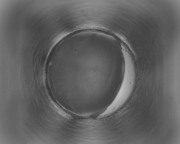 X0000077991024200611101723