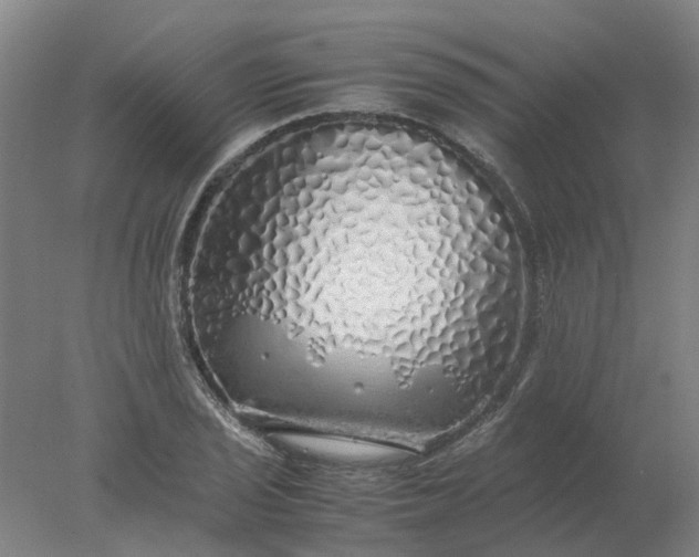 X0000077991029200611101723