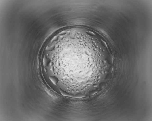 X0000077991031200611101723