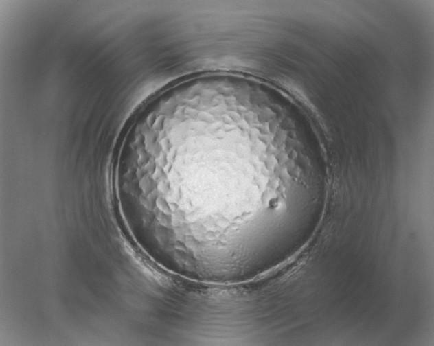 X0000077991032200611101723