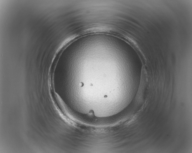 X0000077991034200611101723