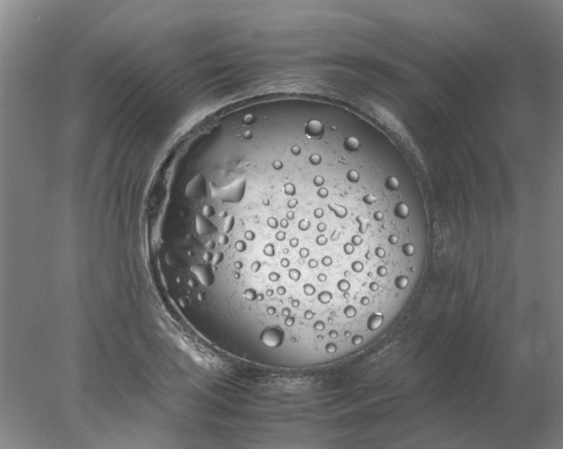 X0000077991035200611101723