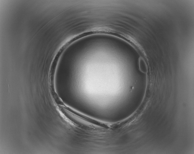 X0000077991037200611101723