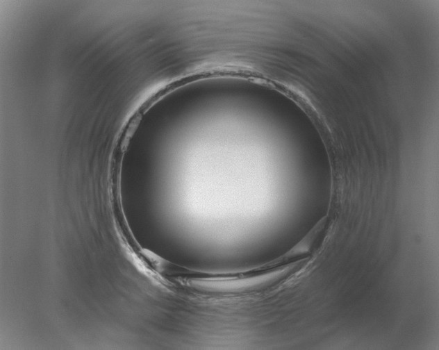 X0000077991038200611101723