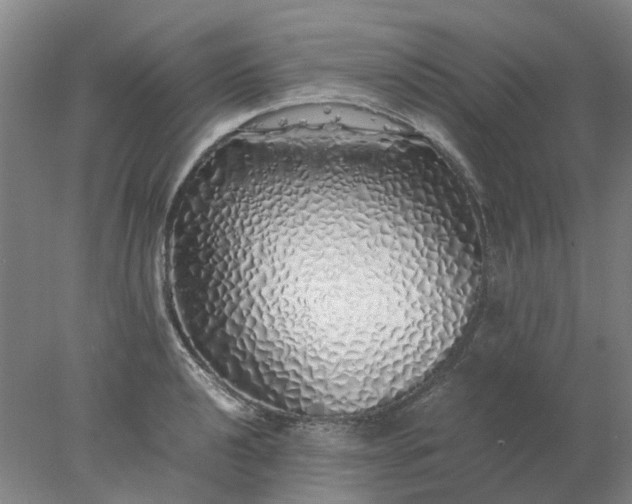 X0000077991040200611101723