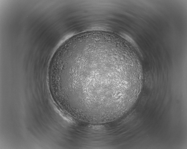 X0000077991043200611101723