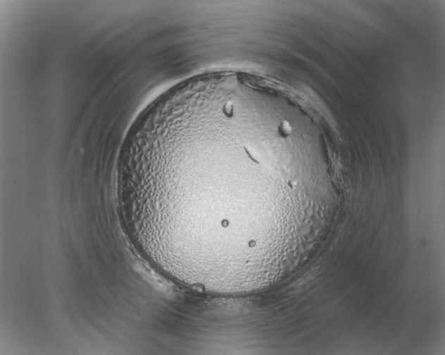 X0000077991044200611101723