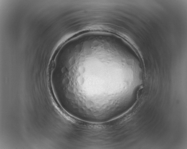 X0000077991045200611101723