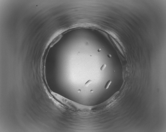 X0000077991046200611101723