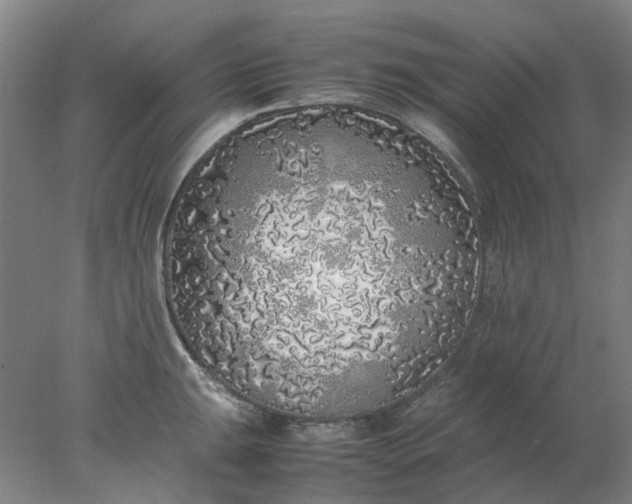 X0000077991047200611101723