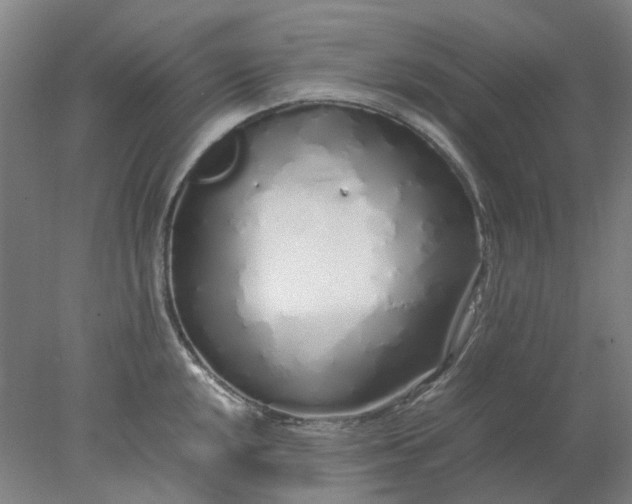 X0000077991048200611101723