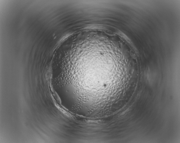 X0000077991049200611101723