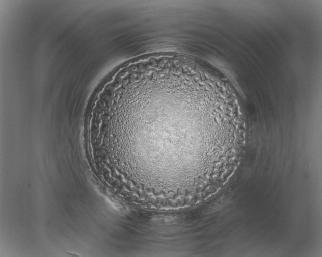 X0000077991051200611101723