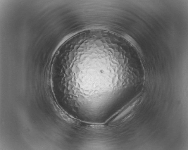 X0000077991052200611101723