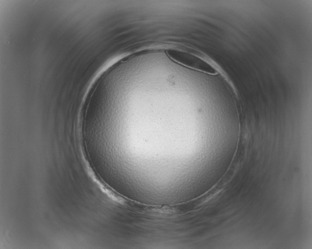 X0000077991053200611101723