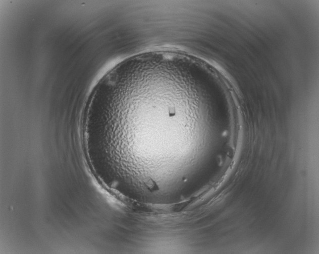 X0000077991054200611101723