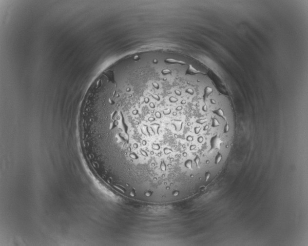 X0000077991055200611101723