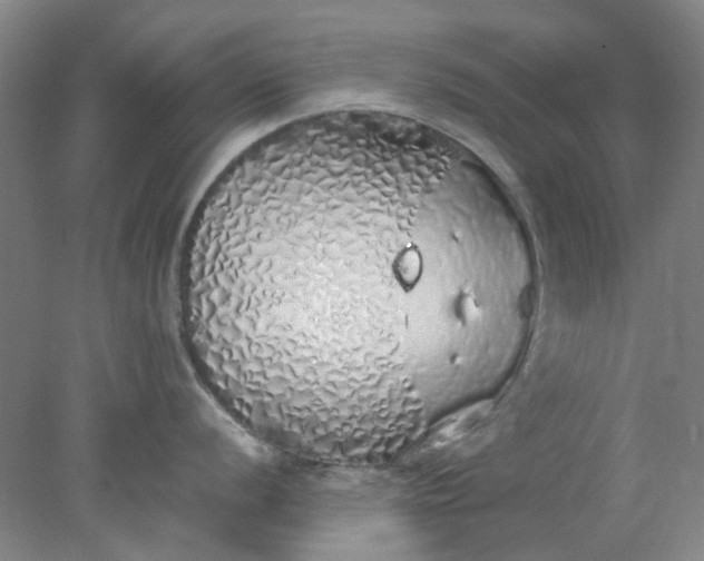 X0000077991056200611101723