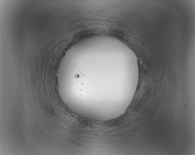 X0000077991057200611101722