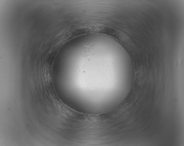 X0000077991058200611101722