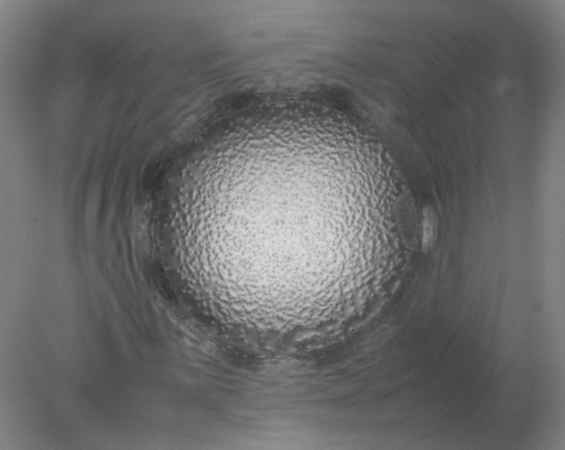 X0000077991059200611101722