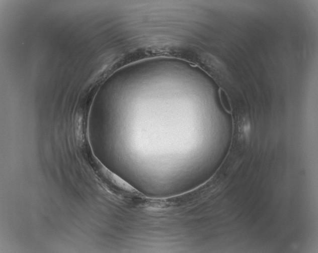 X0000077991060200611101722