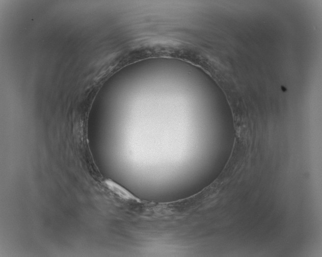 X0000077991061200611101722