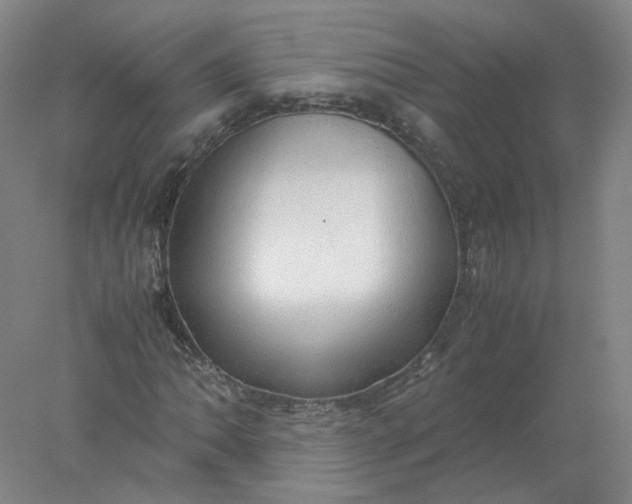 X0000077991062200611101722