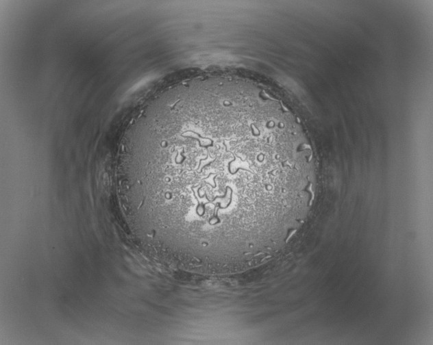 X0000077991063200611101722