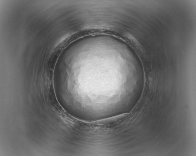 X0000077991064200611101722