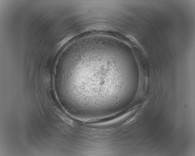 X0000077991065200611101722