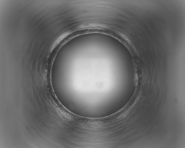 X0000077991066200611101722