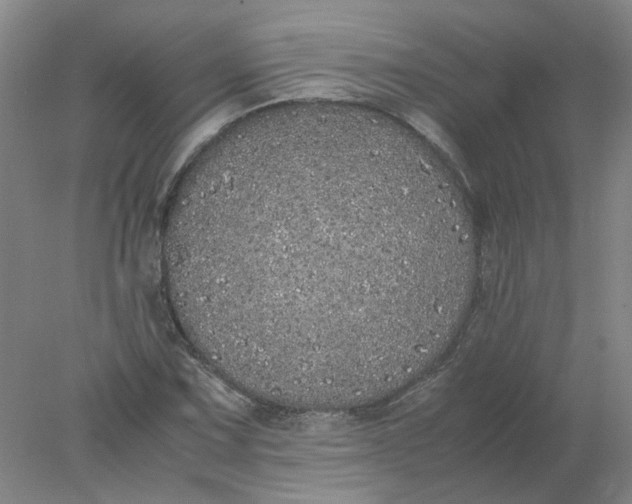 X0000077991067200611101722