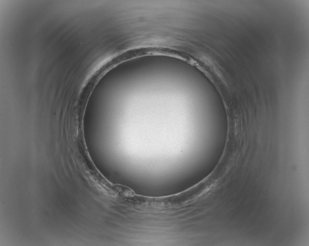 X0000077991069200611101722