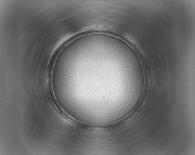 X0000077991070200611101722