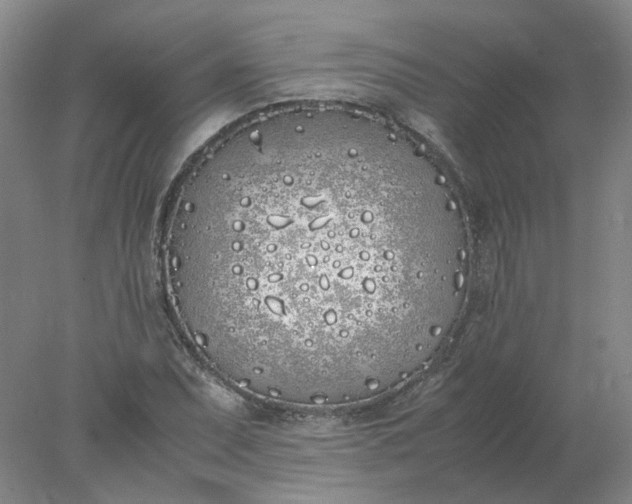 X0000077991071200611101722