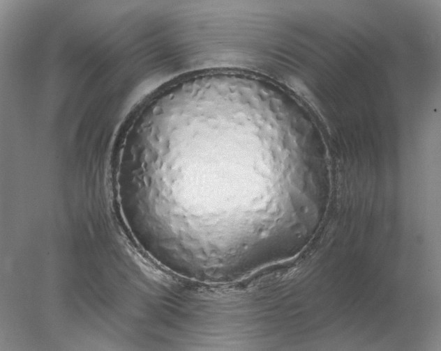 X0000077991072200611101722