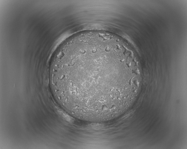 X0000077991075200611101722