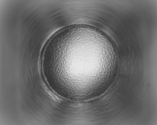 X0000077991076200611101722