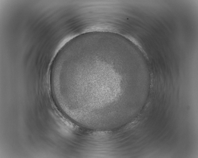 X0000077991078200611101722