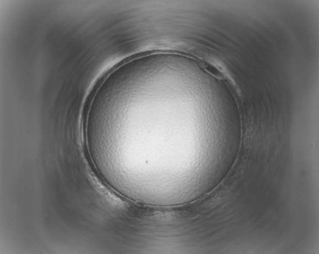 X0000077991080200611101722