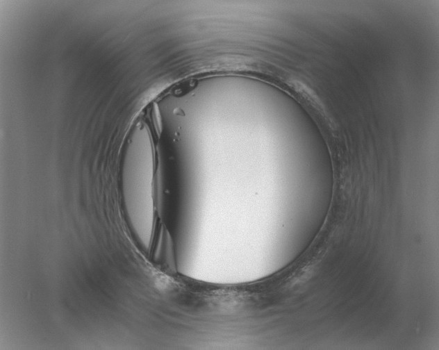 X0000077991081200611101722