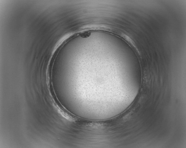 X0000077991082200611101722