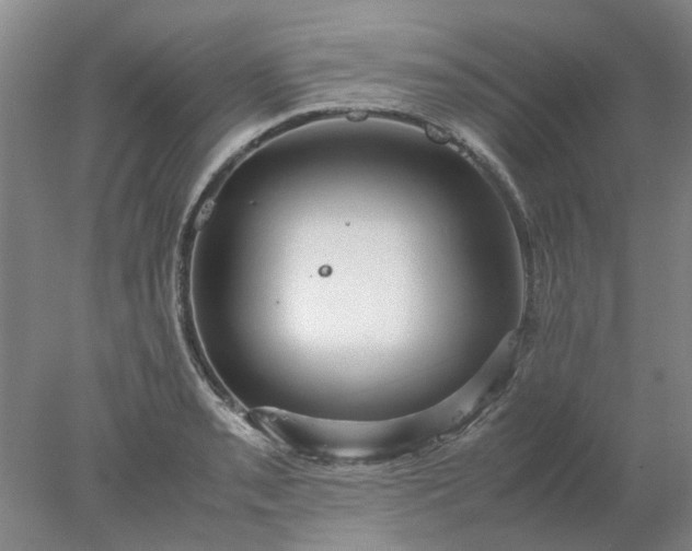 X0000077991085200611101722