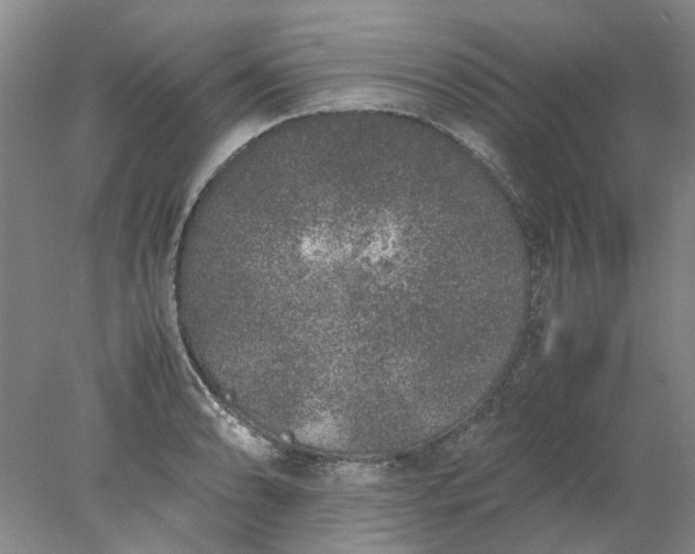 X0000077991086200611101722