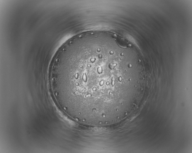 X0000077991087200611101722