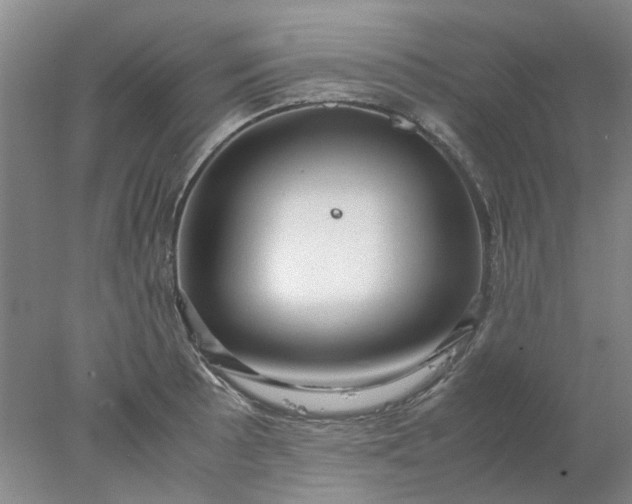 X0000077991089200611101722