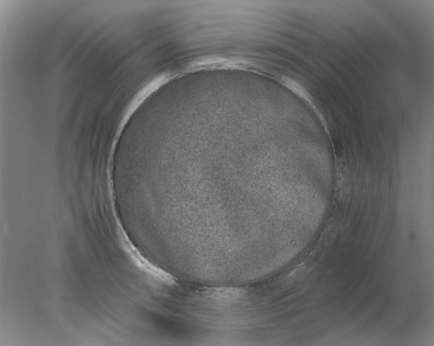 X0000077991090200611101722